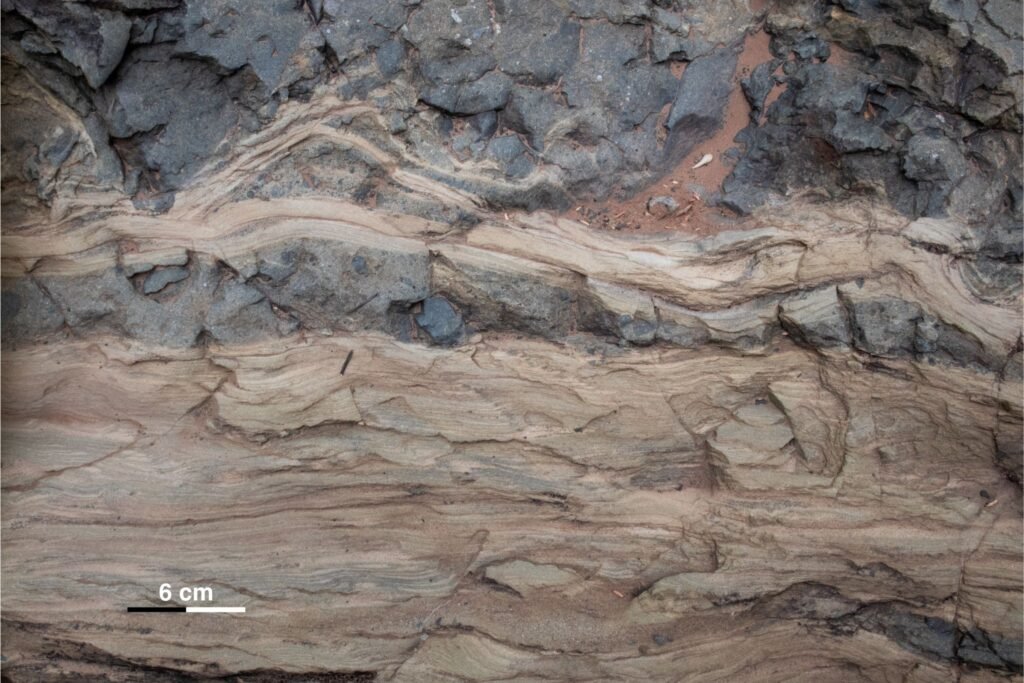 6 cm (1)